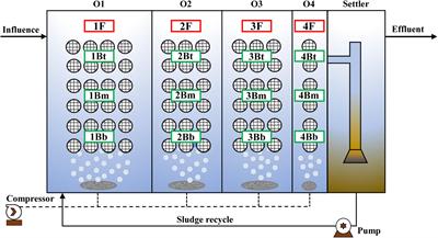 Morphological and Spatial Heterogeneity of Microbial Communities in Pilot-Scale Autotrophic Integrated Fixed-Film Activated Sludge System Treating Coal to Ethylene Glycol Wastewater